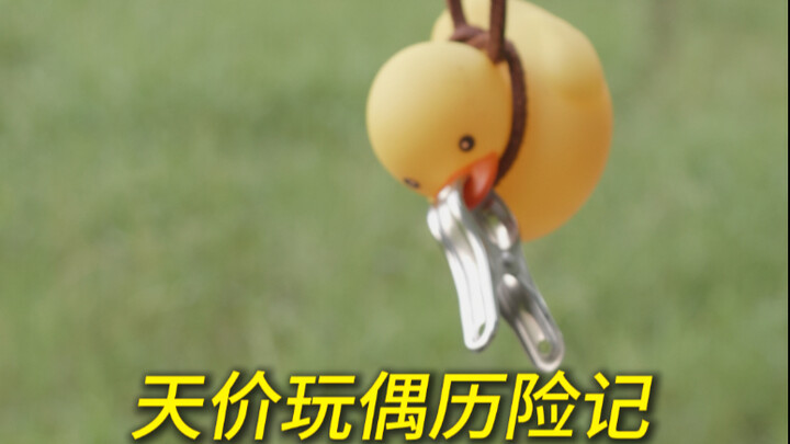 Cuộc phiêu lưu của con búp bê vô giá