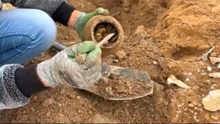 寻宝人在洪水刚退去的地方寻宝，没想到竟然真的找到了宝藏