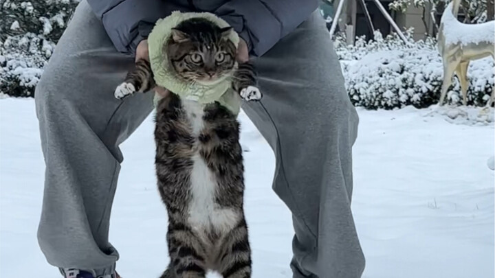 Dad’s having a snowball fight with Chou Juanbao!