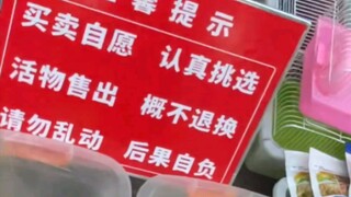 "Memilih dengan Serius"