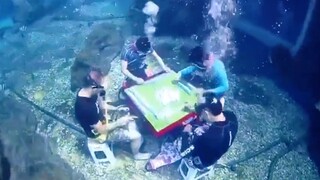 What the heck? It must be scorching hot...