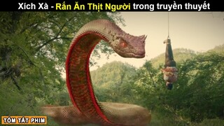 [Review Phim] Người Phụ Nữ dùng Mạng Người để Nuôi Rắn | Tóm Tắt Phim Hay | Tea Phim