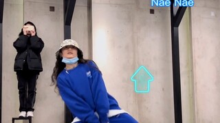 打好“地基”Hiphop入门基本功跟练  Rock | Milly Rock | Nae Nae