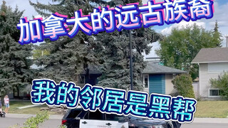 Oh, my Canadian neighbor is a gangster? Then you're still stealing houses