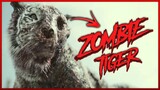 All Appearances of  "Zombie Tiger" | Army of the Dead (2021) | HD