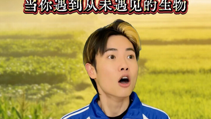คาดไม่ถึงจริงๆ!