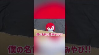 ぬい咲劇場「＼ｳﾏﾚﾀｯ!!／」#shorts【花咲みやび/ホロスターズ】