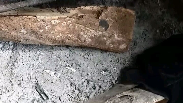 sud. an ug tinangkong bai#bisayatabai