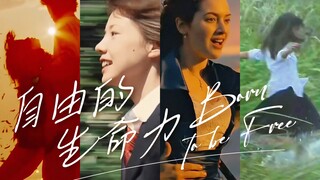 电影美学 | 生命力爆棚镜头混剪