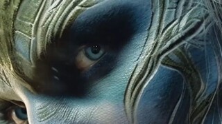 The Elf  The Nocturnal Nook Ambient Music ambient ambientmusic study
