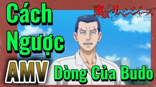 [Tokyo Revengers AMV |  Cách Ngược Dòng Của Budo