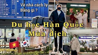 Ra sân bay đón em gái từ Việt Nam sang Hàn Quốc du học vào mùa dịch | Về nhà cách ly bằng gì ?