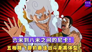 Nikka ระหว่าง 6 เมตรถึง 8 เมตร! Gear 5 Luffy มีความสูงและรูปร่างในการต่อสู้ที่ดีที่สุดในขณะนี้! #979