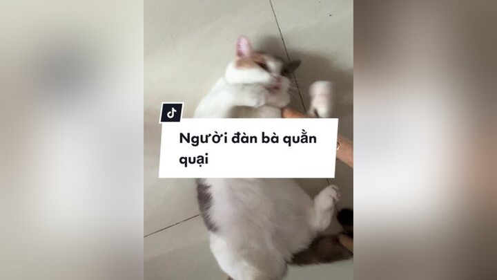 Người đàn bà quằn quại và người đàn ông bất lực cat meo trending