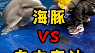元宵乐一乐：自由高达VS小海豚。被秒杀的会是谁？