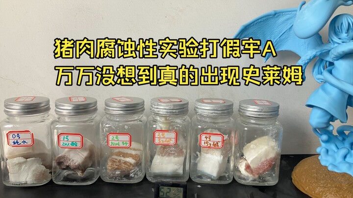 Thí nghiệm ăn mòn bằng thịt lợn: Bóc mẽ quán lao A, ai ngờ lại thực sự xuất hiện slime!