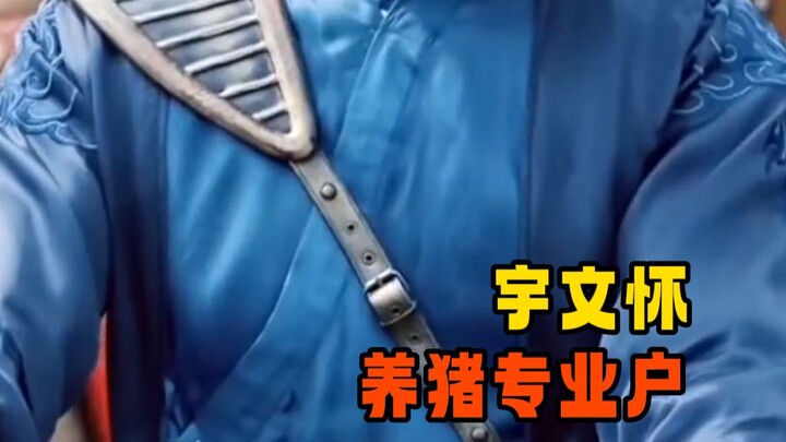 Profesional peternak babi Yuwen Huai