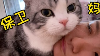 为啥猫早上爱抱我头？是我睡太久，怕我嘎了吗？