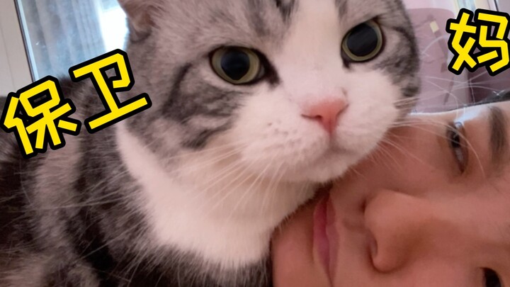 为啥猫早上爱抱我头？是我睡太久，怕我嘎了吗？