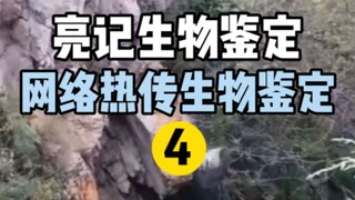 【Liangji Bio-Identifikasi】Bio-identifikasi yang baru-baru ini populer di Internet 4