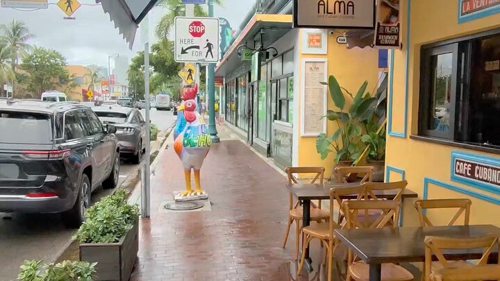 Recorriendo La Calle 8 Lttle Havana Miami