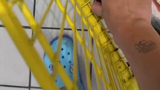 Jika kamu berani mengatakannya, aku berani menembaknya