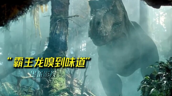 感受一下来自远古巨兽，那令人窒息的压迫感