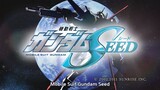 Mobile Suit Gundam: SEED Episode 2