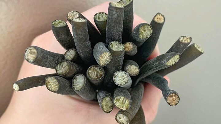 Orang biasa benar-benar enggak berani makan ini!