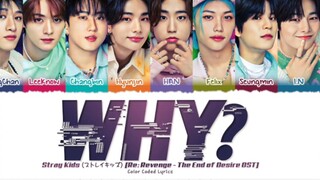 Stray Kids新歌《WHY?》音源公开！