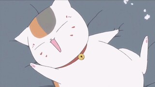 "Women who act coquettishly have the best luck, but cats who act coquettishly are really deadly"