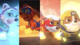 Paw Patrol Mighty Pups - Marshall, Rubble, Everest and Zuma Save Mandy