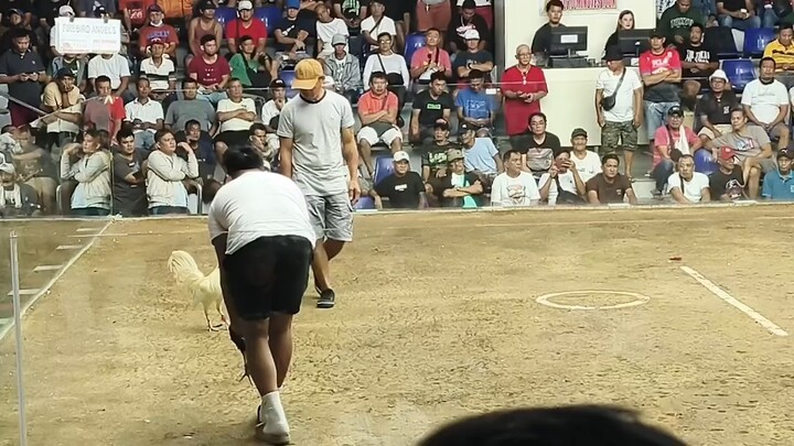 Firebird Angels vs Miller Time!!!