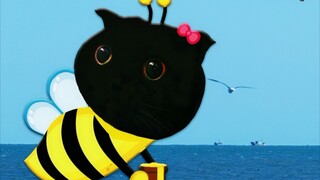 我对猫说了外语！她居然这反应！黑货反应我比较满意…