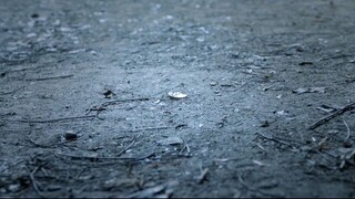 🇨🇳Ep.07 - Love In The Clouds(2025) Eng Sub