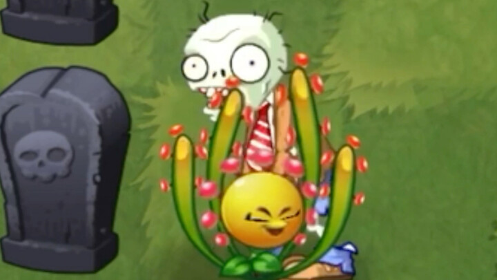 This stupid plant made me laugh to death