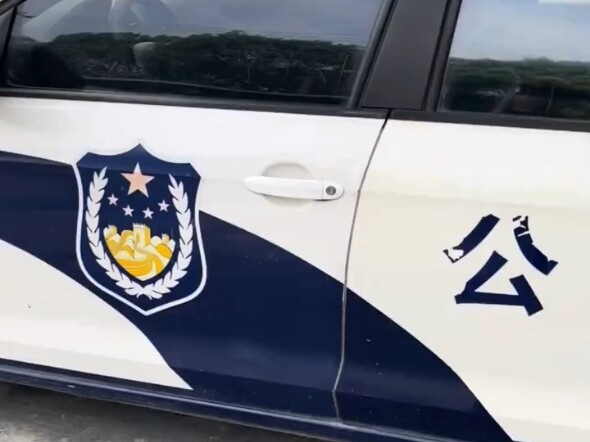 Kucing yang Sangat Santai