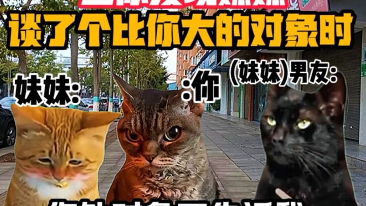 “Cat Meme Sketch:” What Do You Do When You Find Out Your Little Sister Is Dating Someone Older Than 