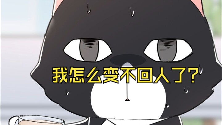I’m the CEO who can turn into a cat… Huh!?