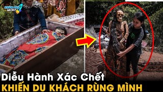 ✈️ 7 Địa Điểm Khảo Cổ Bí Ẩn Đáng Sợ Nhất Thế Giới Cho Tiền Cũng Chưa Chắc Dám Đến | Khám Phá Đó Đây