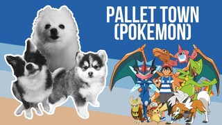 Pallet Town (Pokemon) but it's Doggos and Gabe