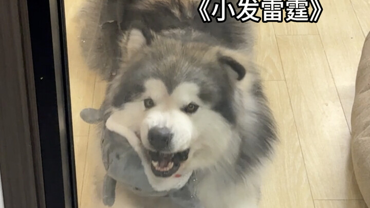 Do I deserve a skewer of oden?