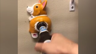 [One laugh a day to prevent depression] Don’t laugh challenge, 67% of people can’t stick to the end.