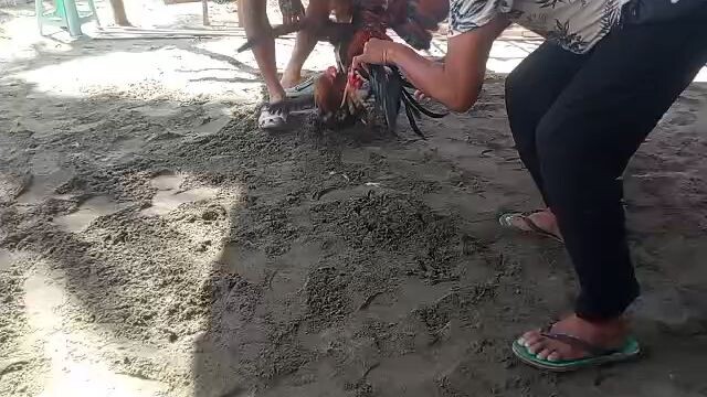 Raptor Sweater Black Beak in action