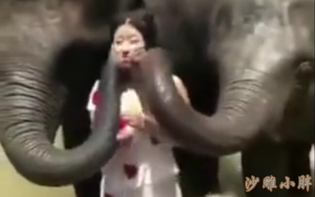 Thức ăn ngon và vui vẻ! (tám)