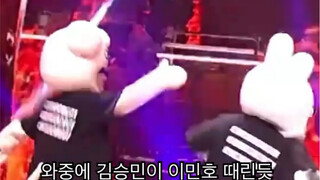 SKZOO才是迷人人均皮皮娃的本色吧【Stray Kids】