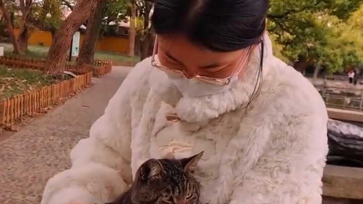 Danh sách những chú mèo sẽ trả thù, và mèo không bao giờ giữ mối hận thù qua đêm