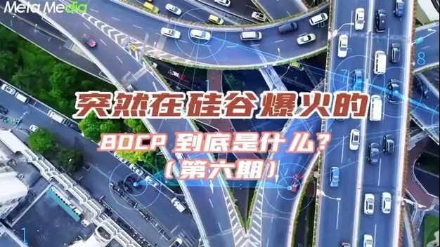 What is the BDCP that suddenly became popular in Silicon Valley? (Issue 6)