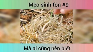 Mẹo sinh tồn p9