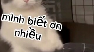 làm ơn mà 🥺